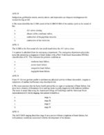 Test Bank For Clinical Guidelines in Primary Care 3rd Edition By Amelie Hollier - Image 4