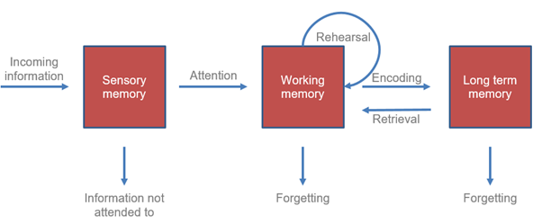 Ebbinghaus Forgetting Curve