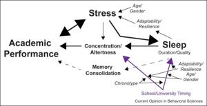 Sleep affects productivity chart