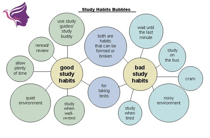 Study habits of students
